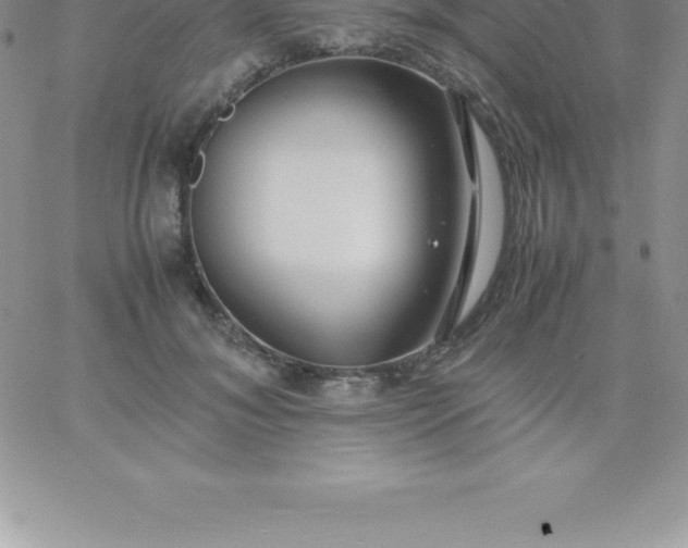 X0000060750700200511241703