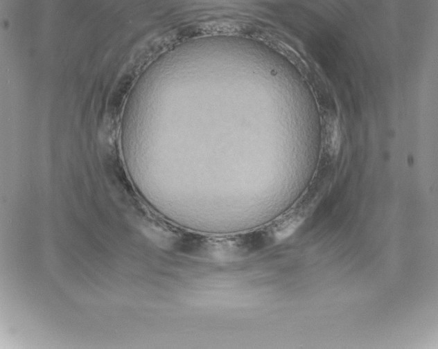 X0000060750701200511241703