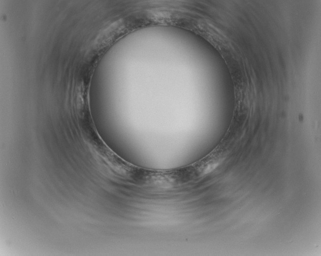 X0000060750702200511241703