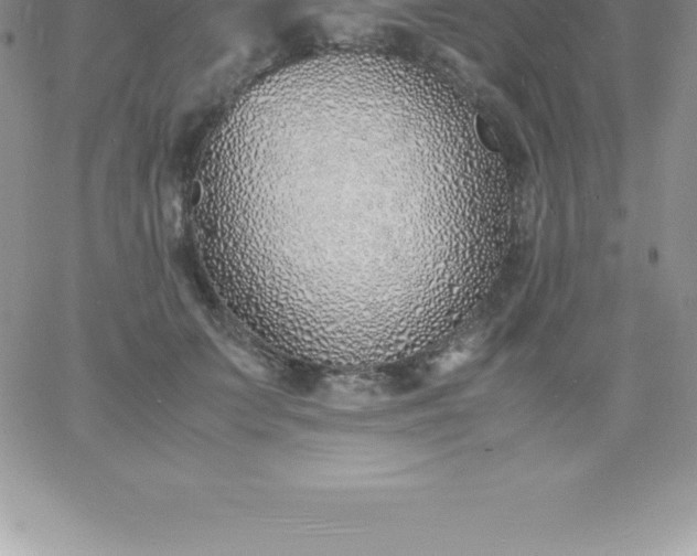 X0000060750703200511241703