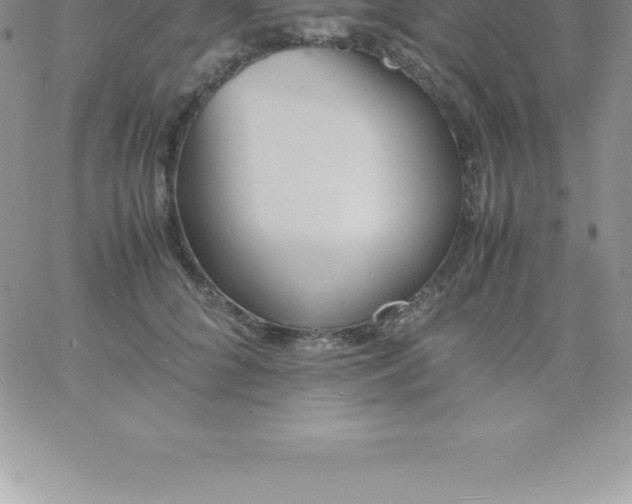 X0000060750704200511241703