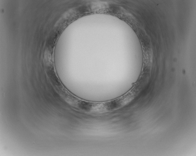 X0000060750705200511241703