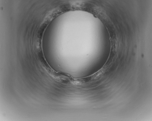 X0000060750706200511241703