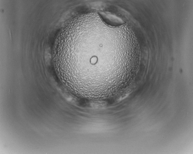 X0000060750707200511241703