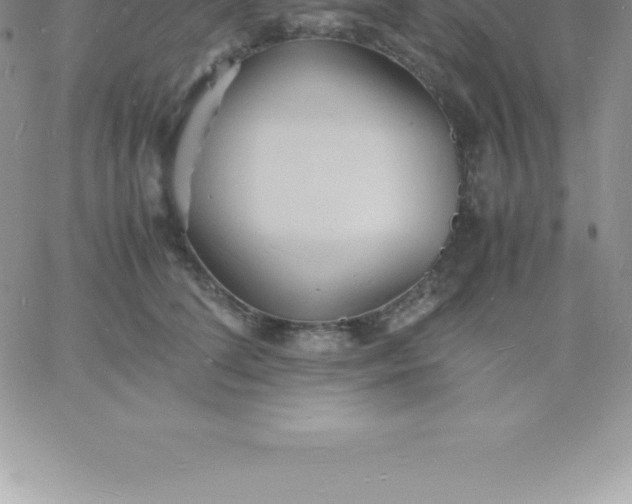 X0000060750708200511241703