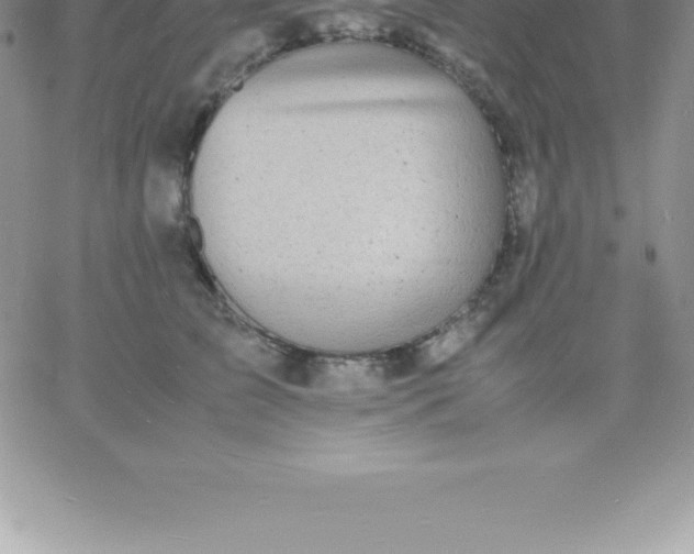 X0000060750709200511241703