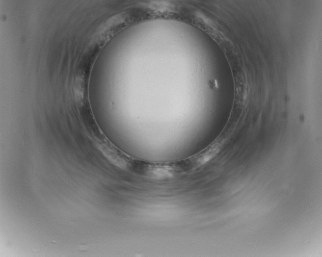 X0000060750710200511241703