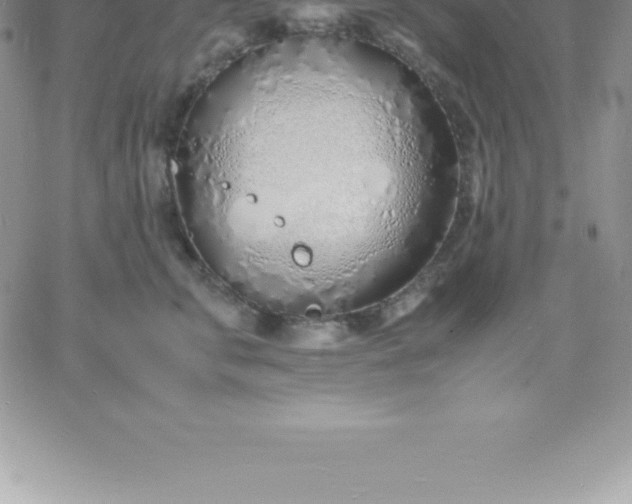 X0000060750711200511241703