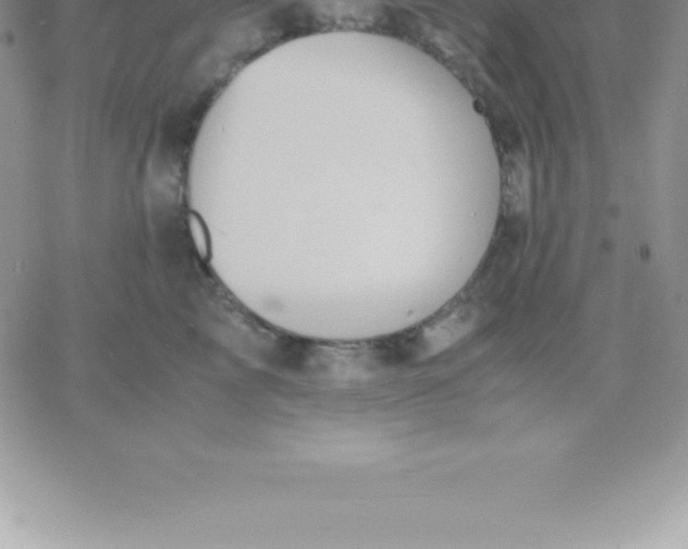 X0000060750713200511241703