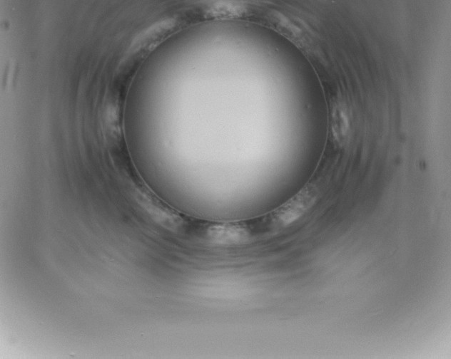 X0000060750714200511241703