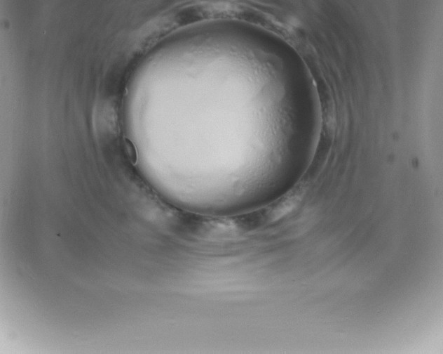 X0000060750715200511241703