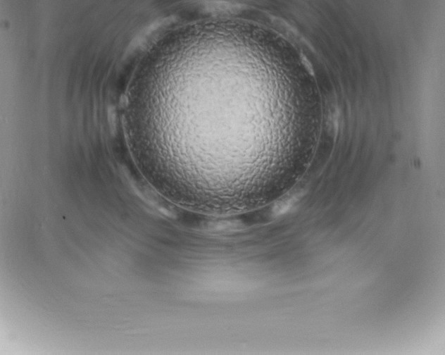 X0000060750716200511241703