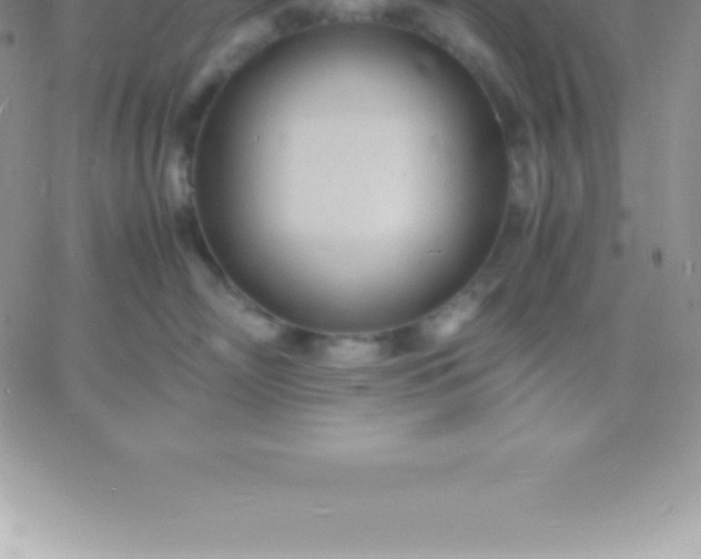 X0000060750718200511241703