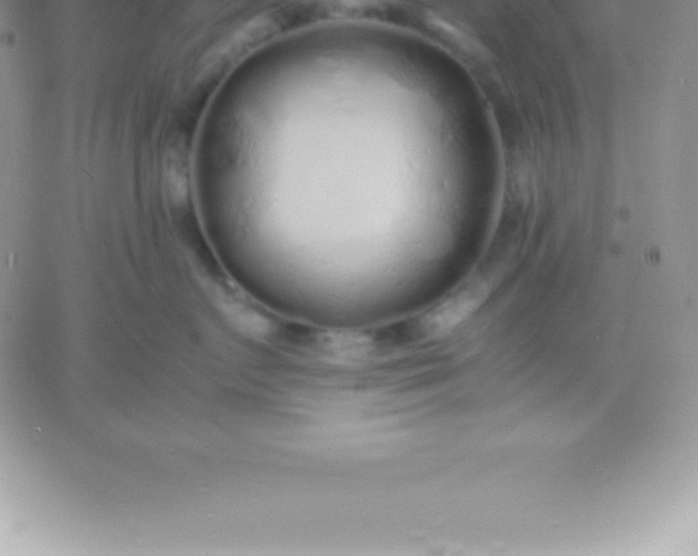 X0000060750719200511241703