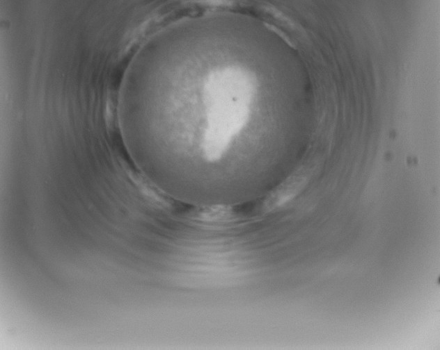 X0000060750720200511241703