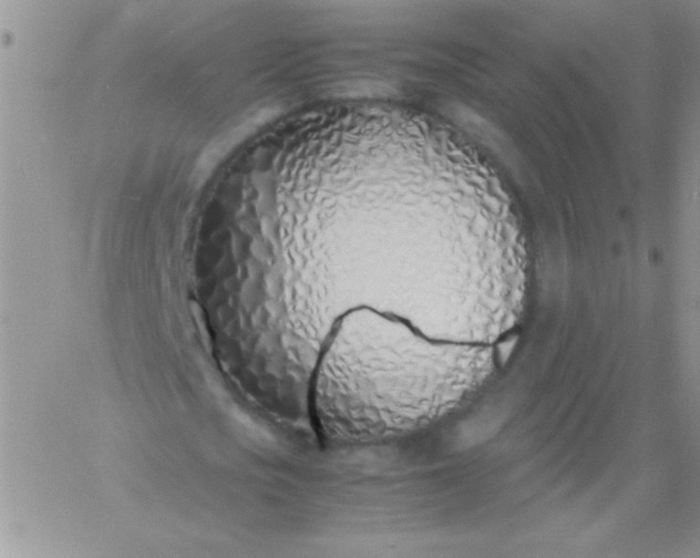 X0000060750721200511241702