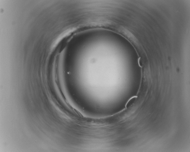 X0000060750722200511241702