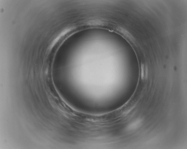 X0000060750723200511241702