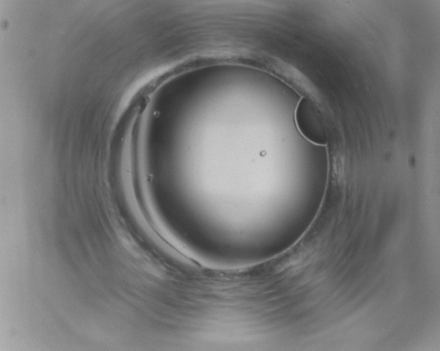 X0000060750724200511241702