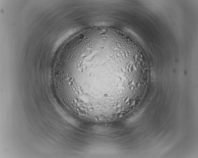 X0000060750725200511241702