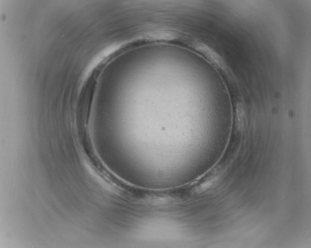 X0000060750726200511241702