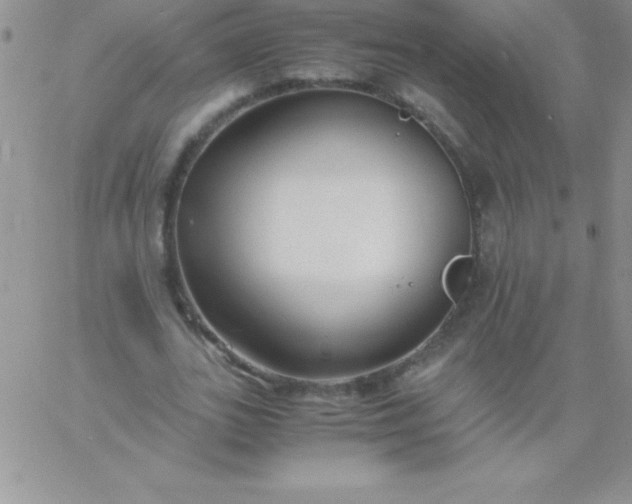 X0000060750727200511241702