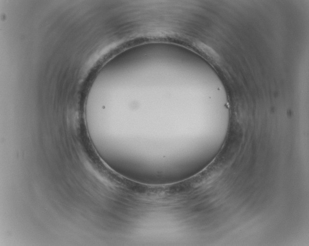 X0000060750728200511241702