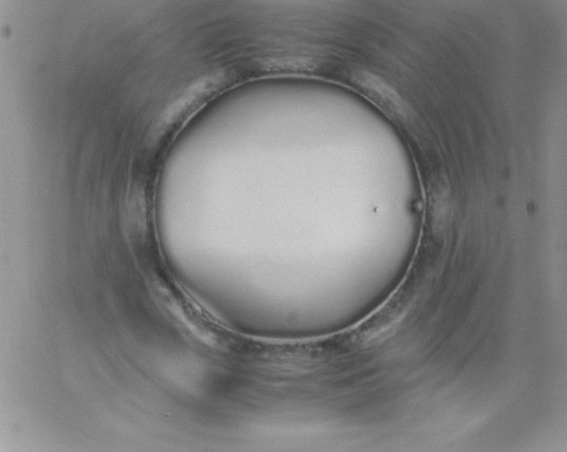 X0000060750729200511241702