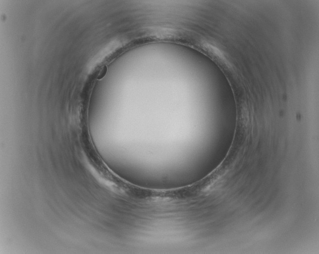 X0000060750730200511241702