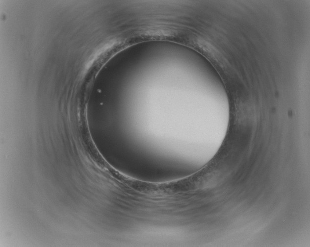 X0000060750731200511241702