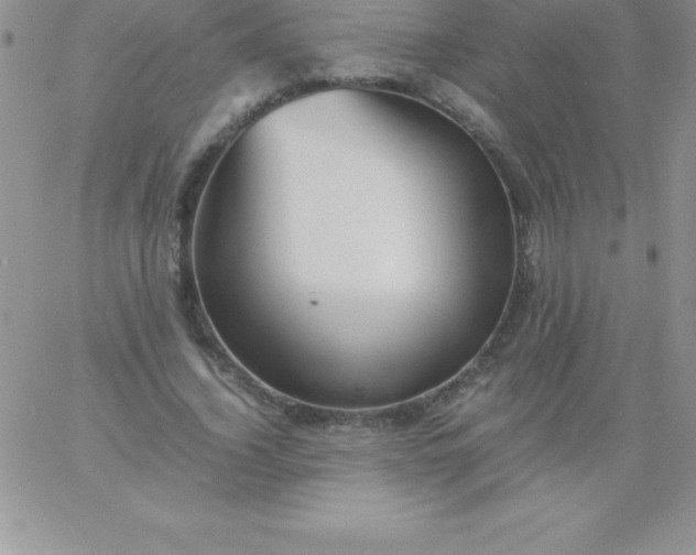 X0000060750732200511241702