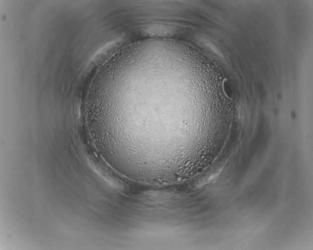 X0000060750733200511241702