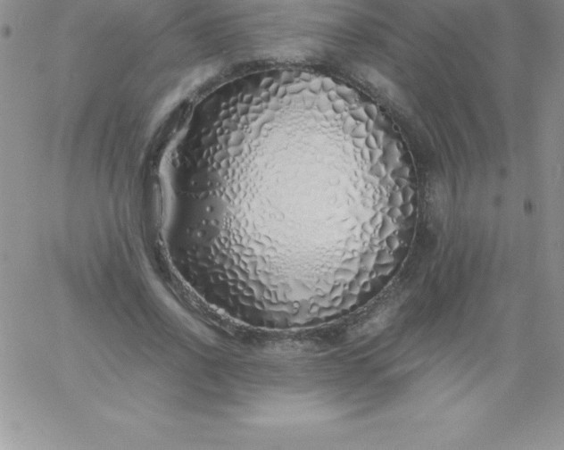 X0000060750734200511241702