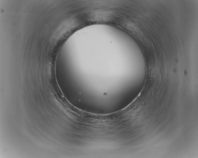 X0000060750735200511241702