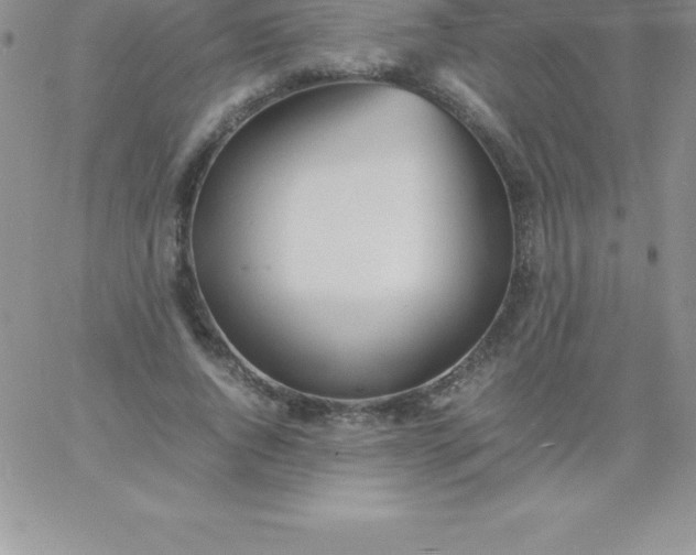 X0000060750736200511241702