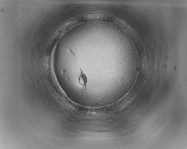 X0000060750737200511241702