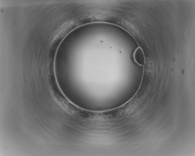 X0000060750738200511241702