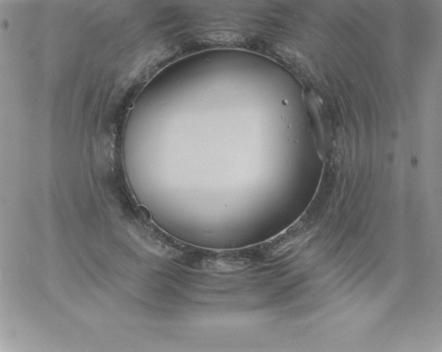 X0000060750739200511241702