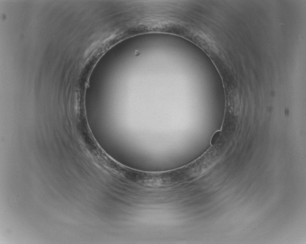 X0000060750740200511241702