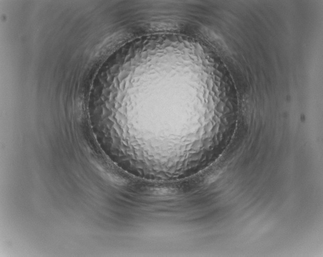 X0000060750741200511241702