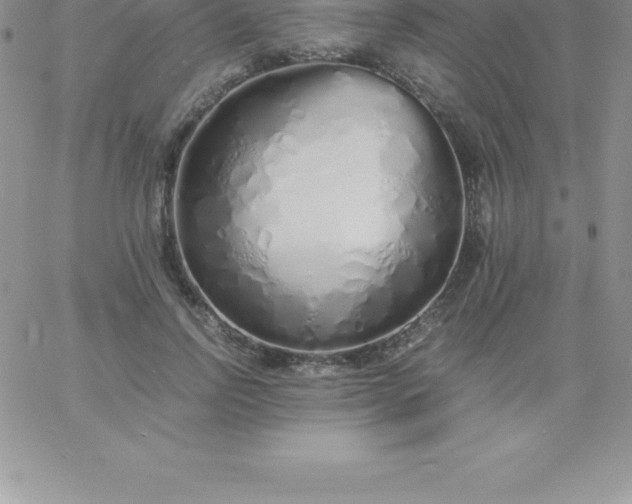 X0000060750742200511241702