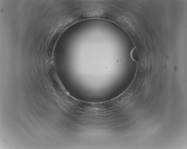 X0000060750743200511241702