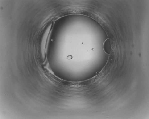 X0000060750744200511241702