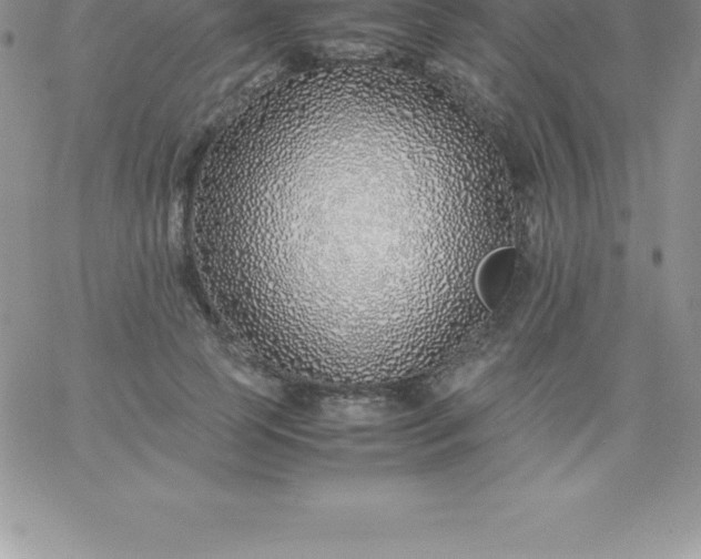 X0000060750745200511241703