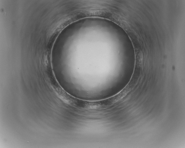 X0000060750746200511241703