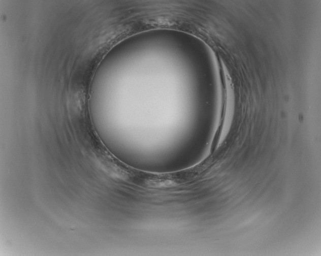 X0000060750747200511241703