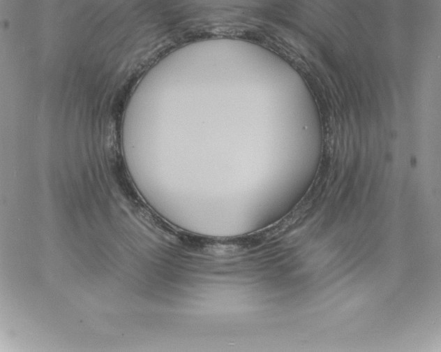 X0000060750748200511241703