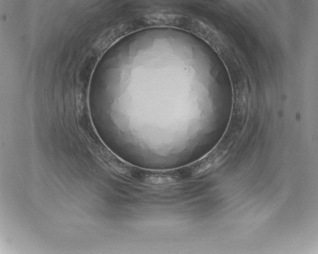 X0000060750749200511241703