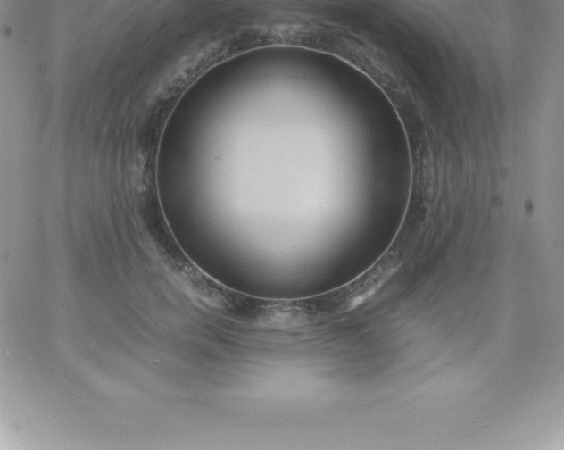 X0000060750750200511241703