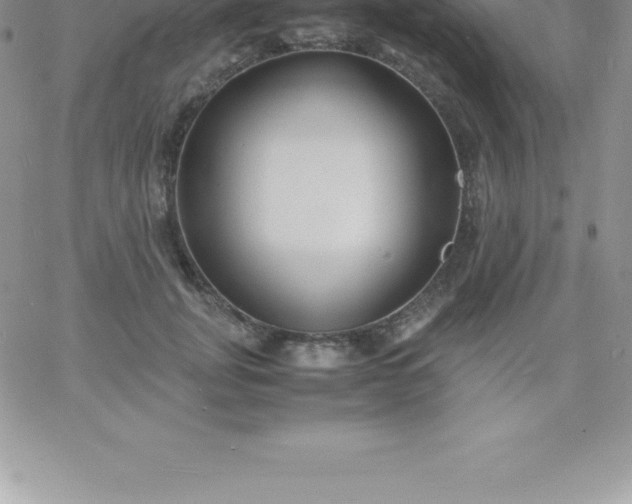 X0000060750751200511241703